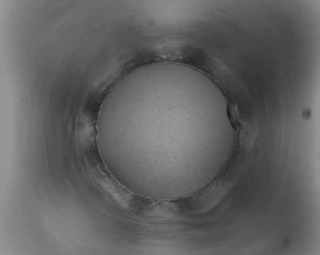 X0000110971298200907022235