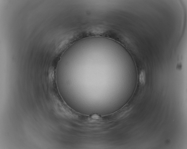 X0000110971299200907022235