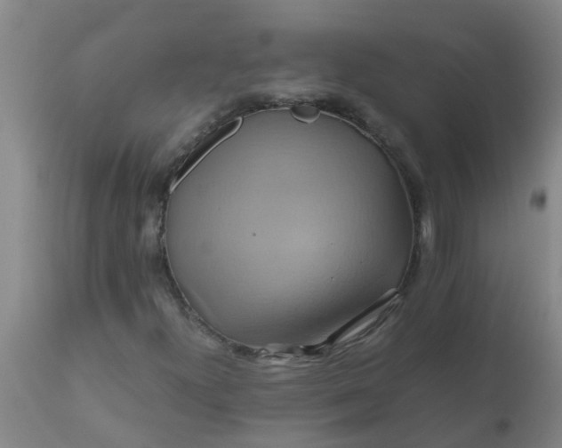 X0000110971300200907022235