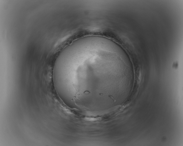 X0000110971301200907022235