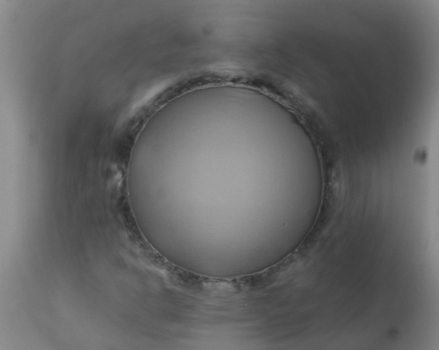 X0000110971302200907022235