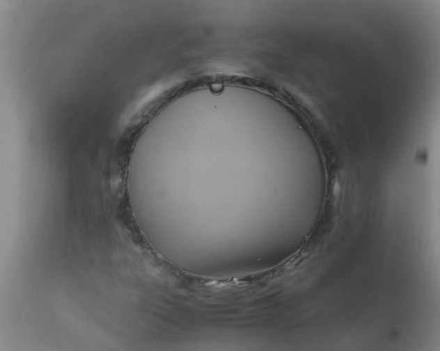 X0000110971303200907022235