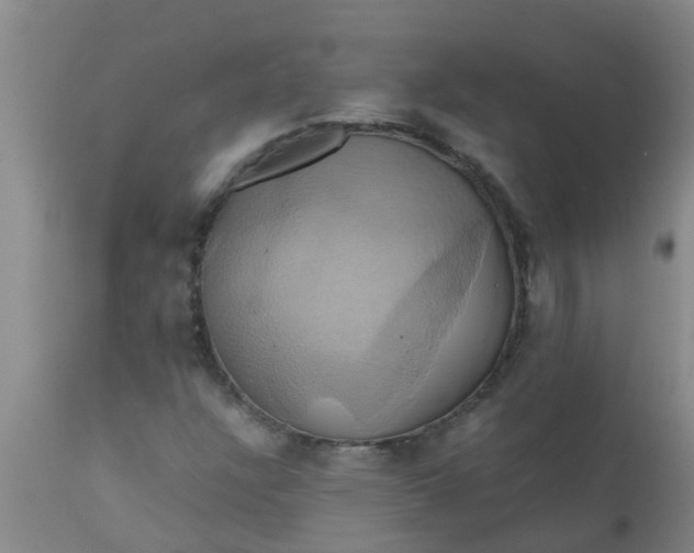 X0000110971304200907022235