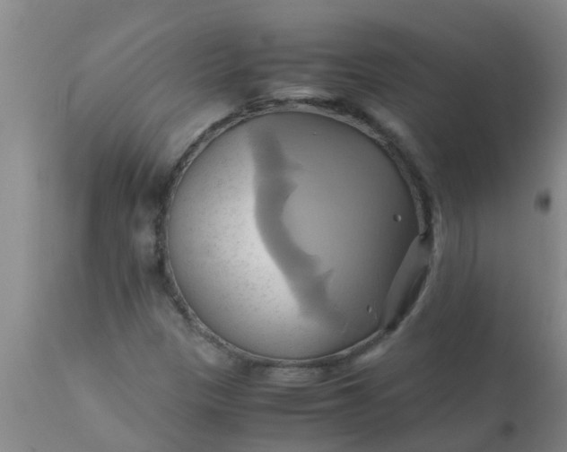 X0000110971305200907022235