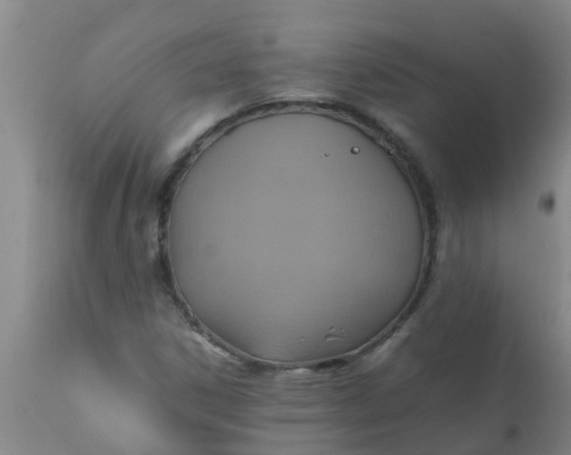 X0000110971306200907022235