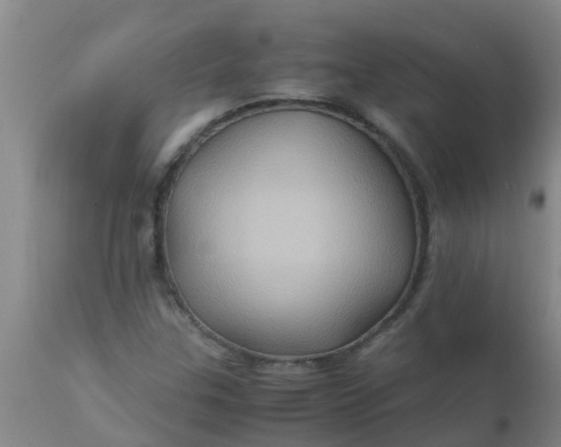 X0000110971307200907022235