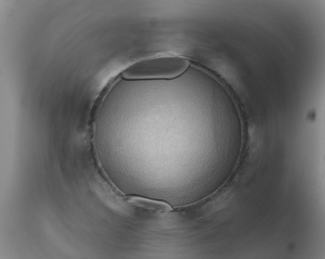 X0000110971308200907022235