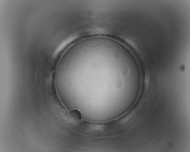 X0000110971309200907022235