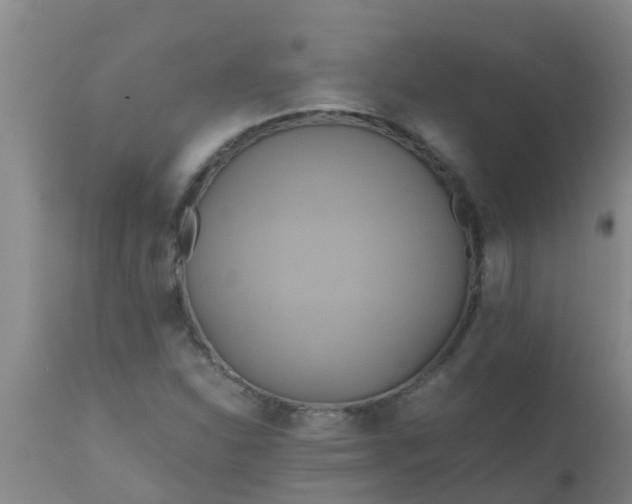 X0000110971310200907022235