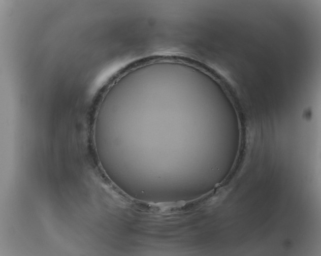 X0000110971311200907022235