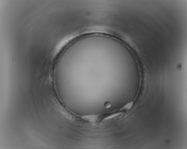 X0000110971312200907022235