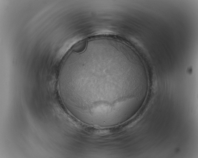 X0000110971313200907022235