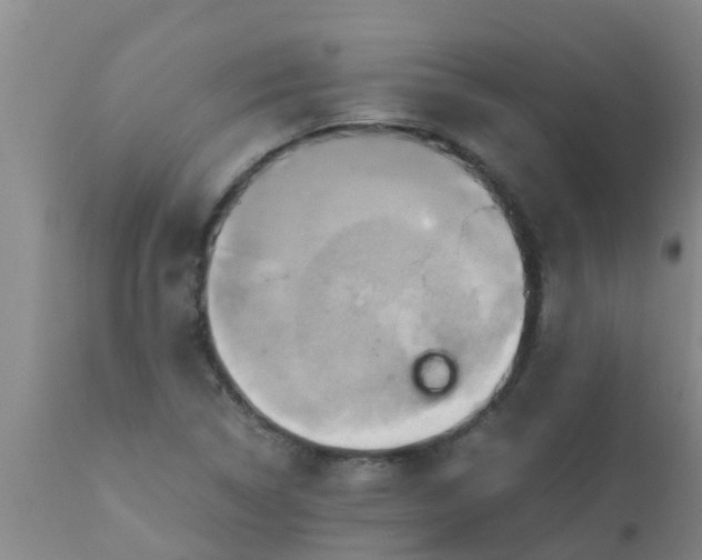 X0000110971314200907022235