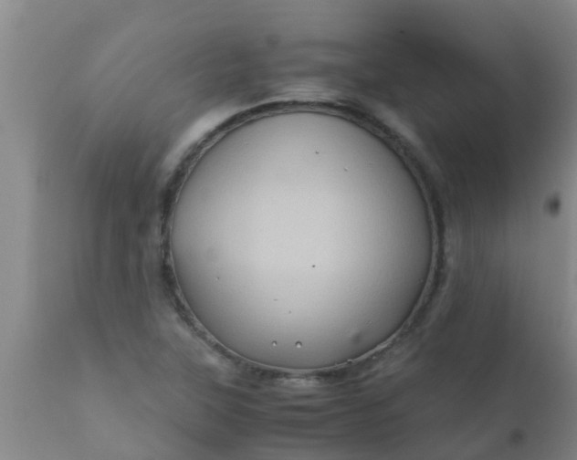 X0000110971315200907022235