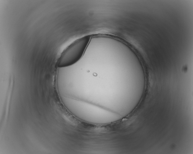 X0000110971316200907022235