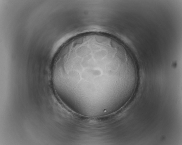 X0000110971318200907022235