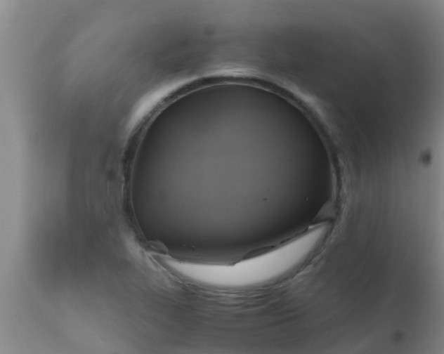 X0000110971319200907022235