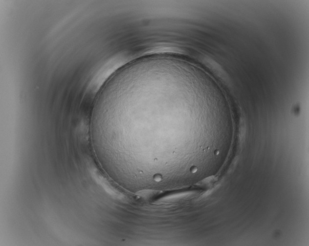 X0000110971321200907022235