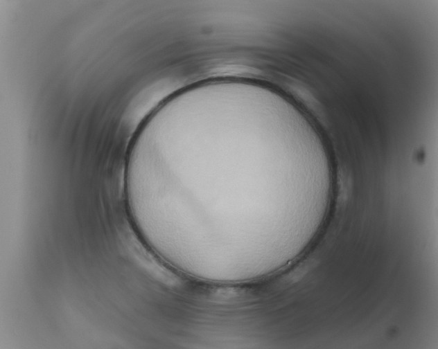 X0000110971322200907022235