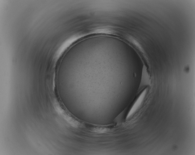 X0000110971323200907022235