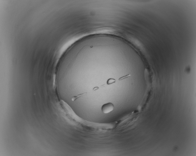 X0000110971324200907022235