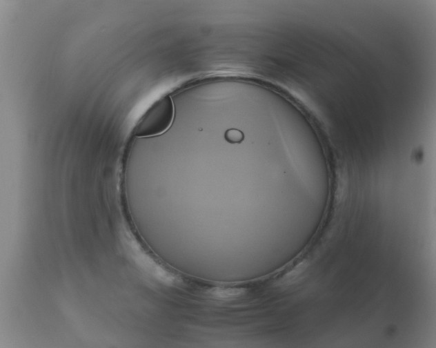 X0000110971325200907022235