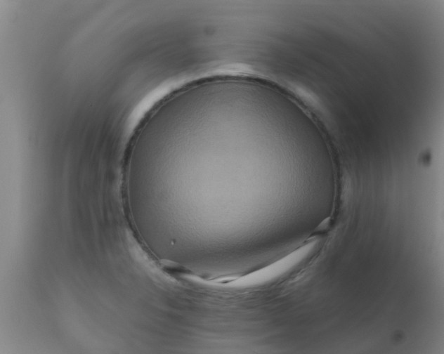 X0000110971326200907022235