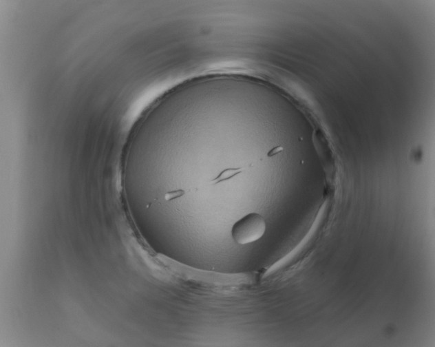 X0000110971328200907022235