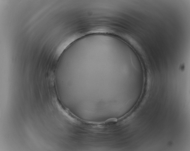 X0000110971329200907022236