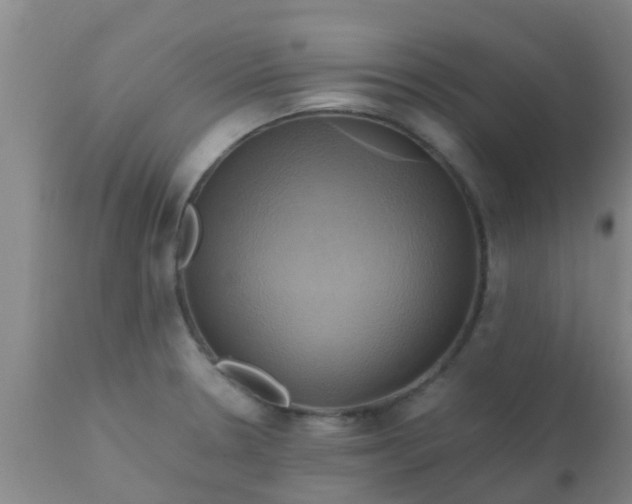 X0000110971330200907022236