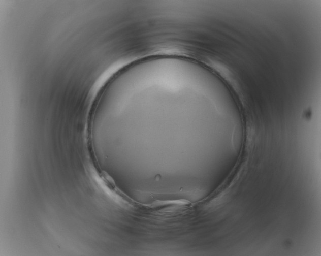 X0000110971331200907022236