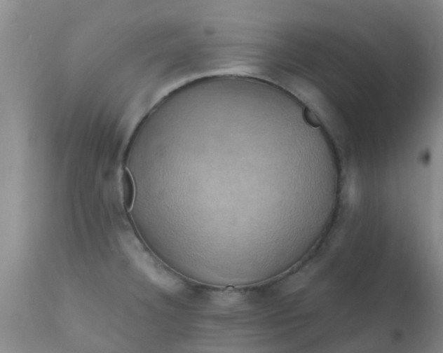 X0000110971332200907022236