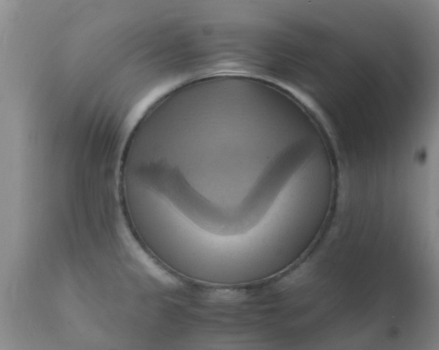 X0000110971333200907022236