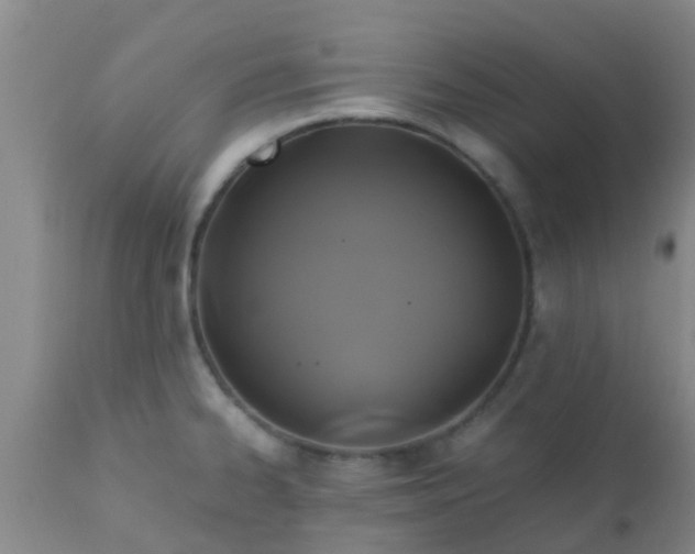 X0000110971334200907022236