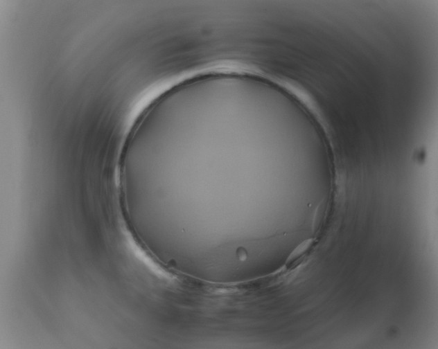 X0000110971335200907022236