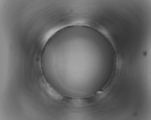 X0000110971336200907022236