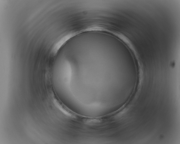 X0000110971337200907022236