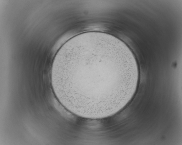 X0000110971338200907022236