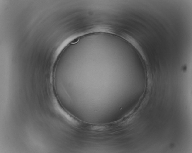 X0000110971339200907022236