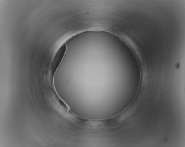 X0000110971340200907022236