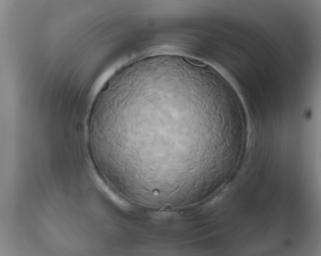 X0000110971341200907022236