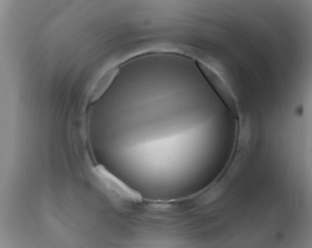 X0000110971342200907022236