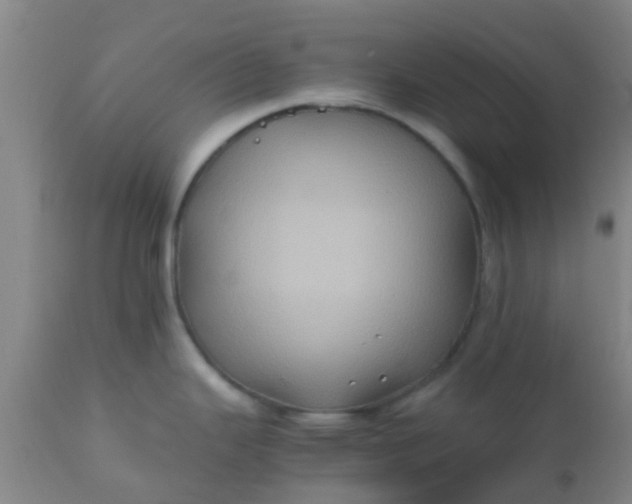 X0000110971343200907022236