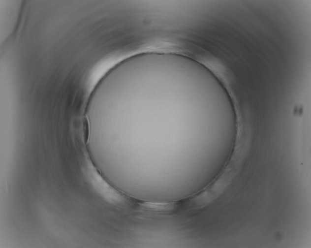 X0000110971344200907022236