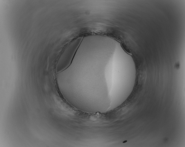 X0000110971345200907022235