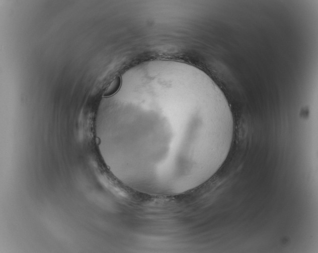 X0000110971346200907022235