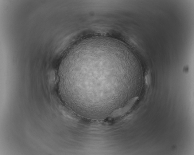 X0000110971347200907022235