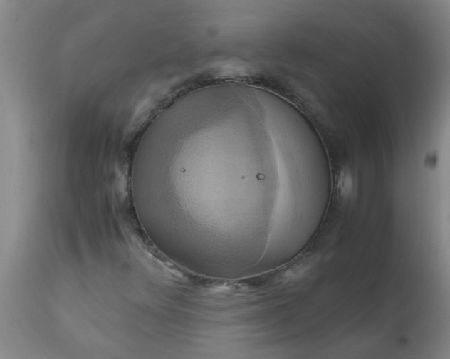 X0000110971348200907022235