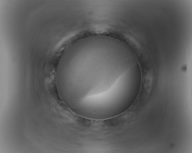 X0000110971349200907022235