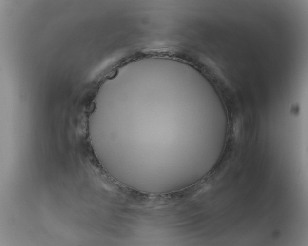 X0000110971350200907022235